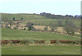 Carmarthenshire farmland near Ffaldybrenin in SA19 8QN