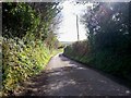 Narrow road past Eastlake turning towards Amroth Church in Amroth Community