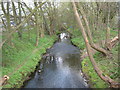 River Rea From Fordhouse Lane, Breedon Cross. in B30 3AE