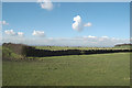 Sheep field and fleecy clouds in HD8 0UB