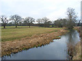 The River Loddon, Sherfield in RG27 0HE