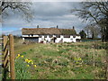 Thatched cottages near Shirley in DE6 3AR