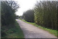Saxon Shore Way in the Riverside Country Park in ME8 7TR