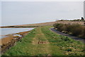Saxon Shore Way heading towards Motney Hill in ME8 7TZ