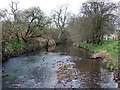 Looking West along river close to Ponteland Scout HQ in NE20 9HL