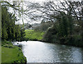 2009 : River Chew north of Chewton Keynsham in BS31 2SW