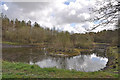 East Pond Mynydd Mawr Woodland Park in Tumble