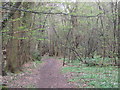 Footpath in Hartley Woods in DA3 7JW