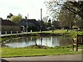The village pond at Barton in CB23 7AY