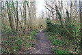 Footpath along the edge of Brokes Wood in TN4 0SU