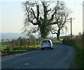 2009 : A359 looking south near the top of Seat Hill in BA4 6AJ