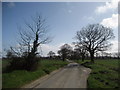 Sutton Road near Hickling in NR12 0AX