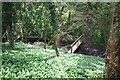 Footbridge below Threapwood windmill in Threapwood