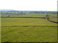 West Moor, Tone Valley, from nr Knapp in TA3 6BA