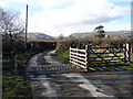 Cattle Grid near Trefeglwys in SY17 5PN