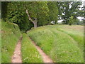 Footpath NW of Escot in EX5 2SA