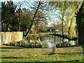 The village pond at Harlton in CB23 1AF