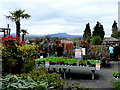 Raglan Garden Centre plant area 1 in NP15 2BS