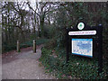 Path into Gundymoor Wood in PO7 8BG