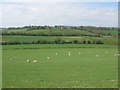 View W from Dean Hill towards Ittinge Farm in CT4 6BY