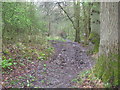 Footpath at Bowsey Hill in RG10 9SY