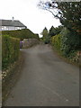 Footpath to Mabbin Hall Lane and Leasgill in LA7 7EN