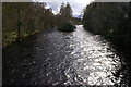 River Ness, Ness Islands, Inverness in IV2 4QR