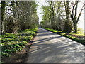 The road through Cobham Frith in SN8 3HY