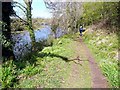 The River Ayr Way approaching Tarholm in KA6 5JT