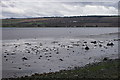 Udale Bay, Black Isle in IV7 8LR