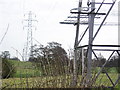 Pylons in CO16 9AW