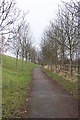 Winter Avenue of Trees, Jean McAlpine Park, Harlow in CM19 4EH