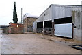 Farmyard at Upper Monkton Farm, with pigs. in TA5 1RL