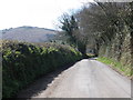 Minor road to Chagford in TQ13 8JY