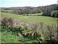 Rolling countryside, near Withecombe in TQ13 8JY