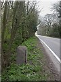 Leigh upon Mendip, milestone in BA3 5QT