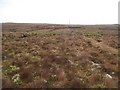 Peat workings near Loch Grinneabhat in HS2 0DZ