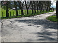 Tree-lined entrance to Sydserf Farm in EH39 5JJ