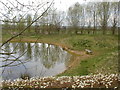 Pond at Pickering Millennium Wood on Easter Monday in YO18 8LW