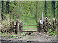 Footpath across Shrubland Park in Sharpstone Street