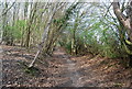 Bridleway heading north from Ware's Wood in TN19 7NE