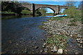 River Usk, Newbridge-on-Usk in NP15 1LY