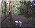 Footpath south of Stockton reservoir in CV47 8LD