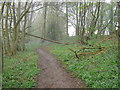 North Downs Way in Birches Wood in TN15 6XB