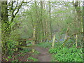 North Downs Way enters Summeryards Wood in TN15 6XB