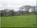 Pasture at Tresemple in TR1 1TP