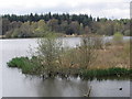 The lake, at Stover Country Park in TQ12 6SY