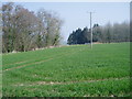 Footpath crossing arable land in EX13 7AS