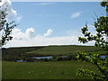 Pasture land east of Llyn Llygeirian in LL68 0SW