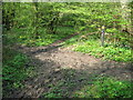 Footpath junction in Cockney's Wood in TN15 6HU